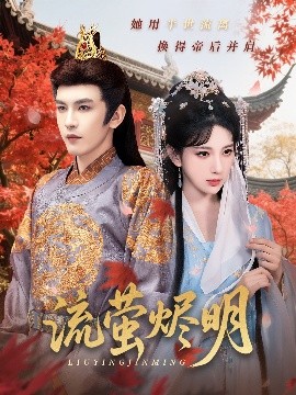 资源《流萤烬明》的海报
