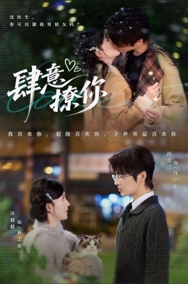 资源《肆意撩你》的海报