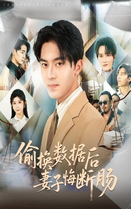 资源《偷换数据后妻子悔断肠》的海报