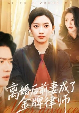 离婚后前妻成了金牌律师
