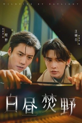资源《白昼焚野》的海报