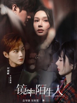 资源《镜中陌生人》的海报