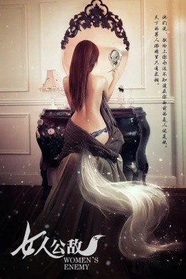 资源《女人公敌》的海报