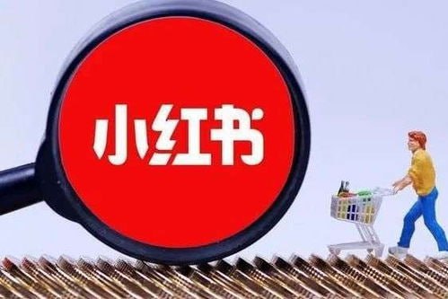 资源《小红书训练营一起成为賺钱的博主，小红书是最适合普通人的风口》的海报