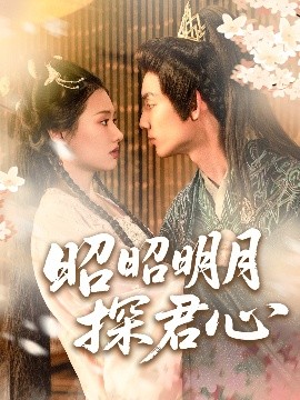 资源《昭昭明月探君心》的海报