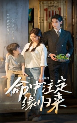 资源《命中注定缘归来》的海报