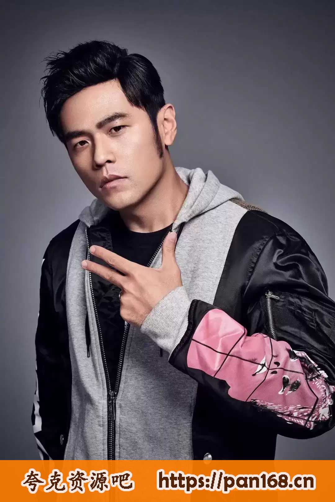 资源《周杰伦无损音乐FLAC（完美内嵌封面歌词标签）》的海报