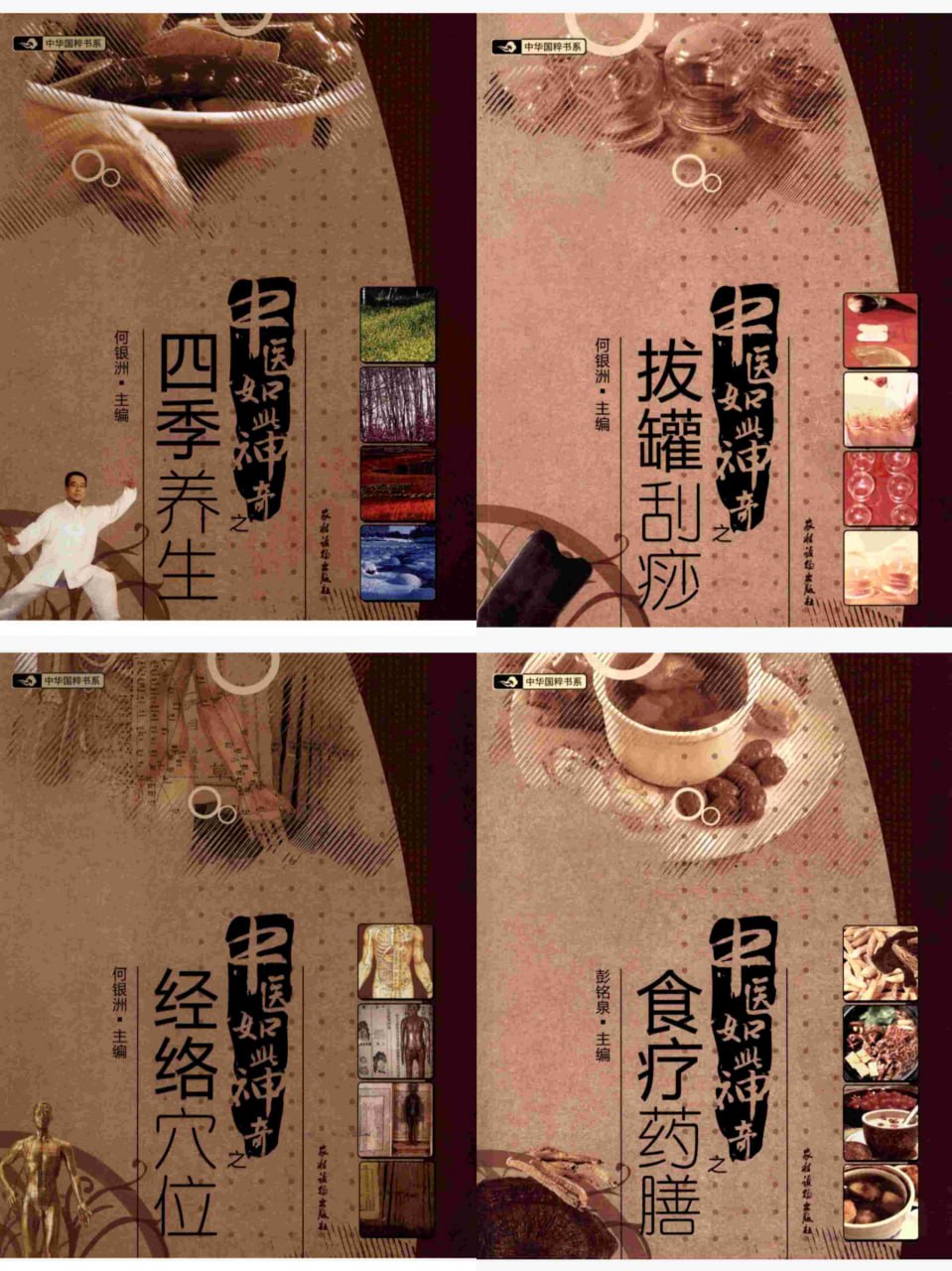 资源《《中医如此神奇系列书籍》经典全册 高清珍藏版[pdf]》的海报