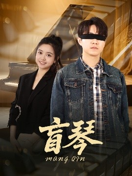 资源《盲琴》的海报