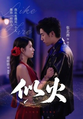 资源《似火》的海报