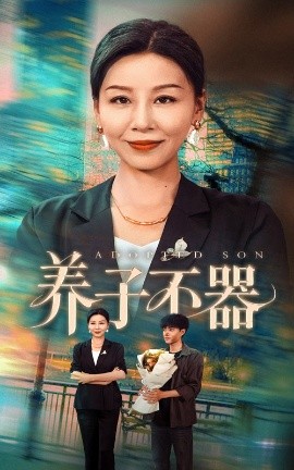 资源《养子不器》的海报
