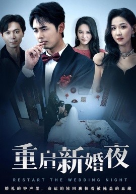 资源《重启新婚夜》的海报