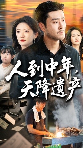 资源《人到中年，天降遗产》的海报