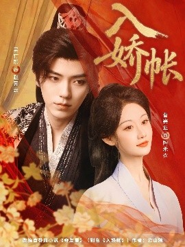 资源《入娇账》的海报