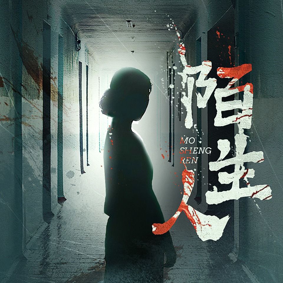 资源《【有声书】陌生人》的海报