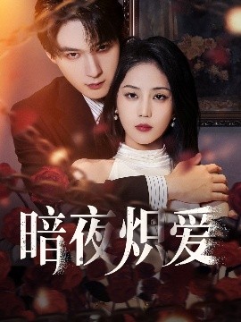资源《暗夜炽爱》的海报