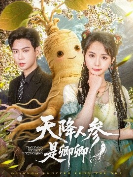 资源《天降人参是卿卿》的海报
