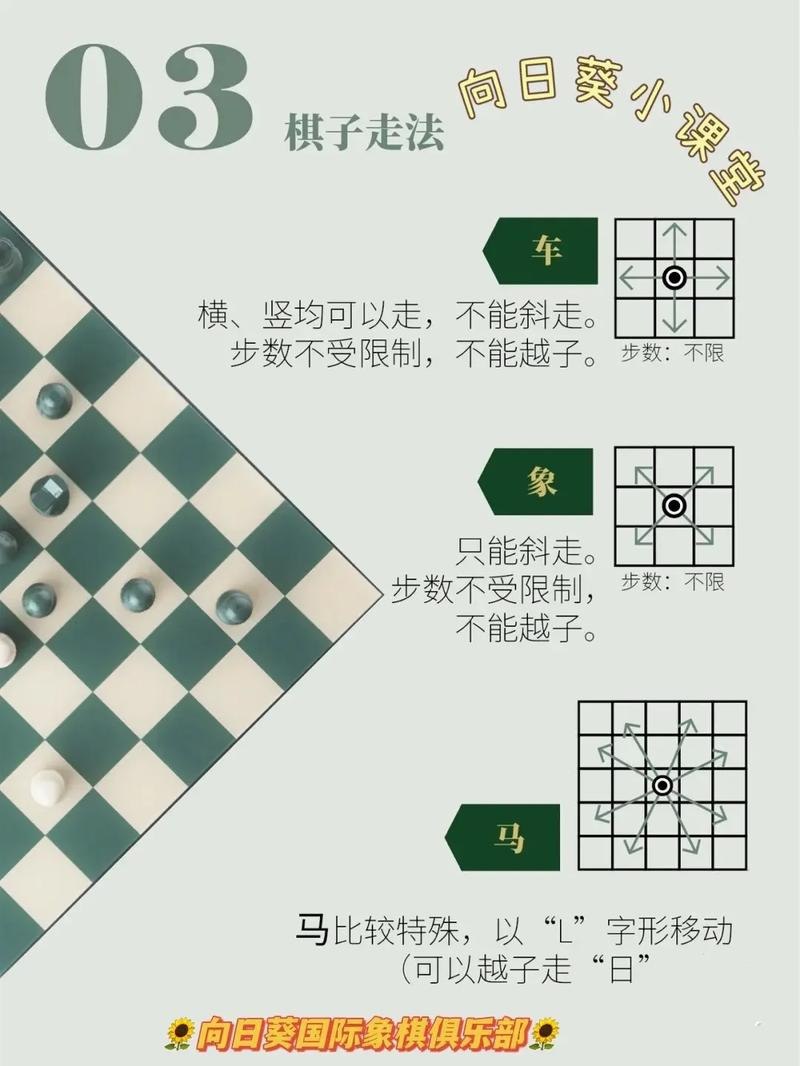 资源《《国际象棋入门》修订本 棋牌图书编委会[pdf]》的海报