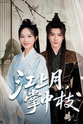 资源《江上月，掌中枝》的海报