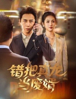 资源《错把真龙当废婿》的海报