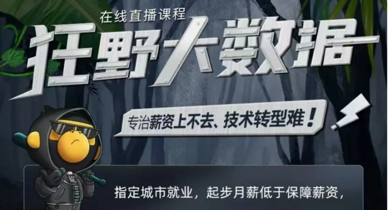 资源《【黑马程序员】大数据直播课-狂野大数据》的海报