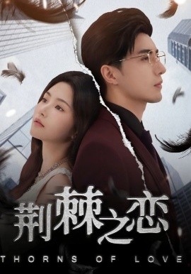 资源《荆棘之恋》的海报