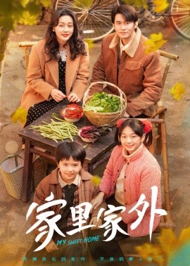资源《家里家外》的海报