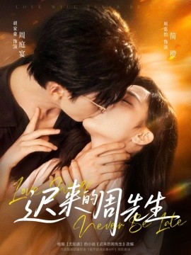 资源《迟来的周先生》的海报