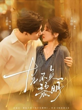 资源《悦不负黎明》的海报