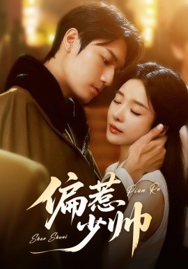 资源《偏惹少帅》的海报