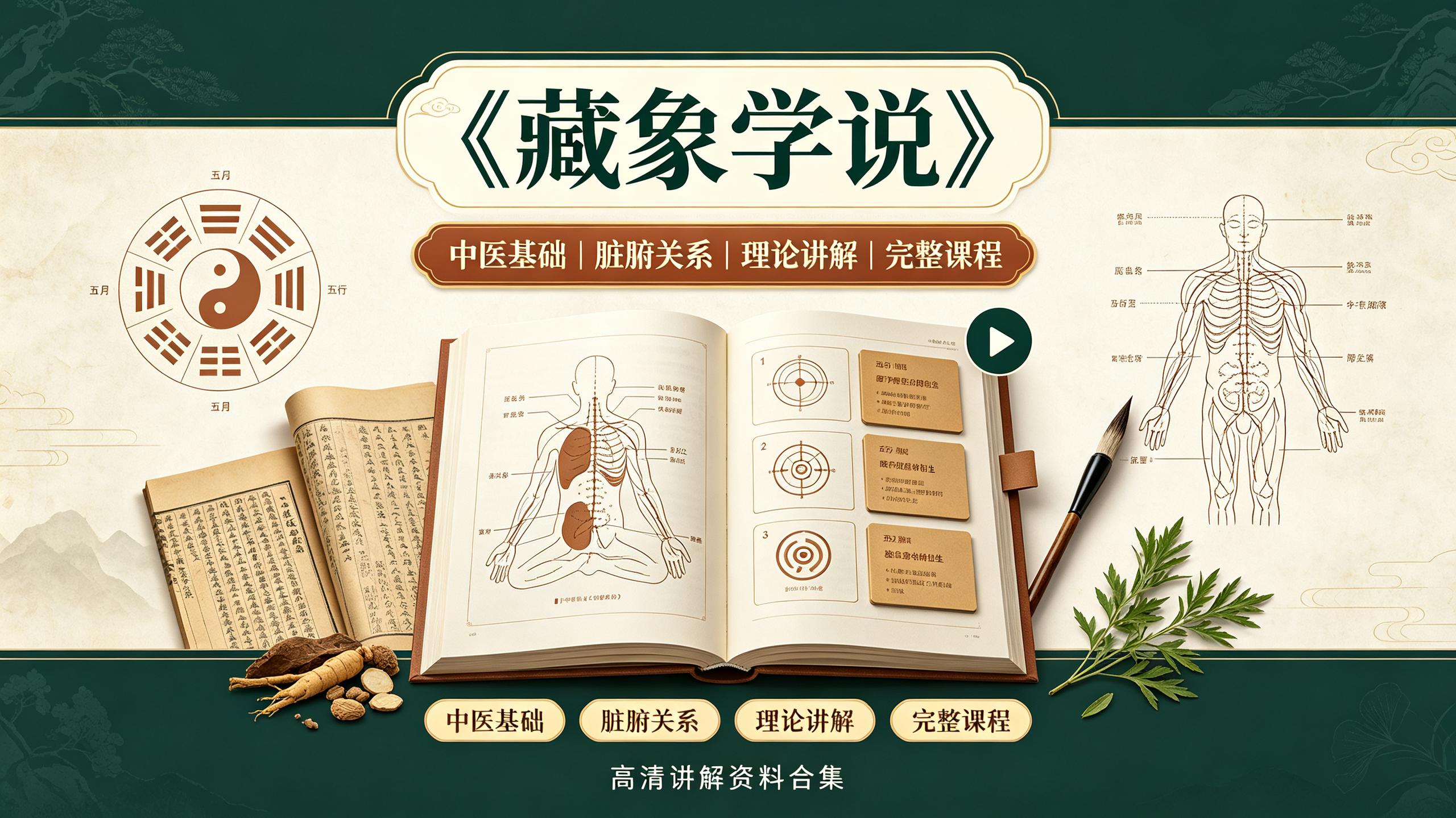 资源《中医课程《藏象学说》【35集】(完结)》的海报
