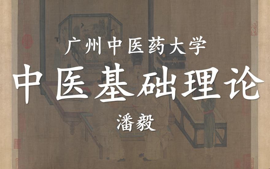 资源《中医基础理论：潘毅主讲-广州中医药大学(全111讲·完整版)》的海报