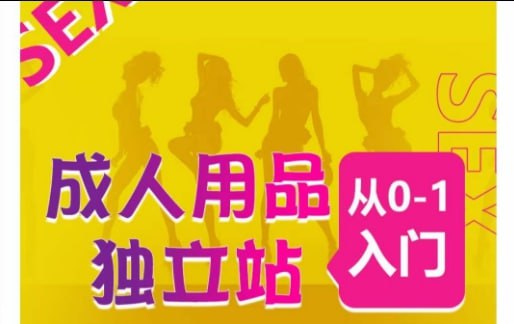 资源《成人用品独立站从0-1入门，成品独立站运营全流程教学》的海报