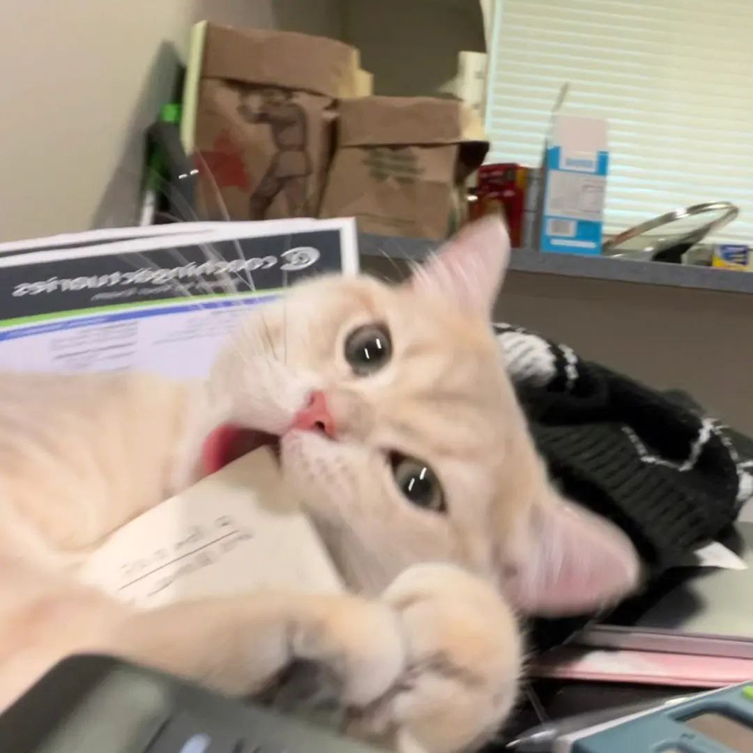 资源《《啃书网》【全站网络小说合集打包】》的海报