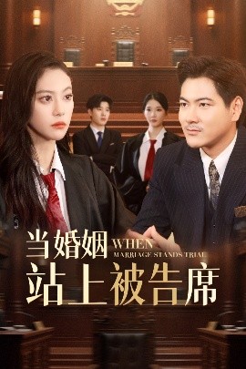 资源《当婚姻站上被告席》的海报