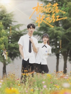 资源《栀子花落状元红》的海报