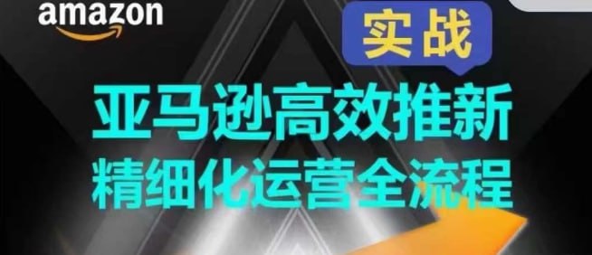 资源《亚马逊高效推新精细化运营全流程》的海报