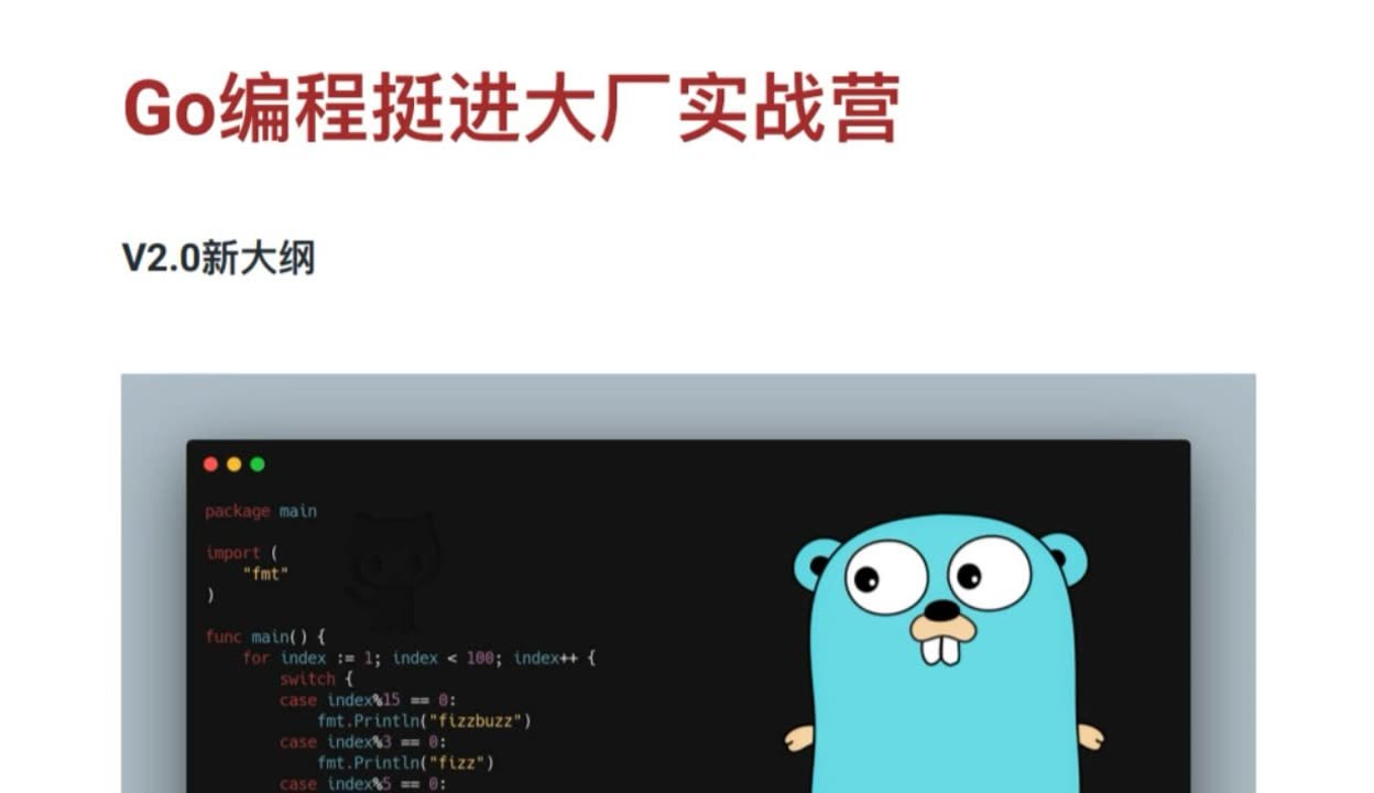 资源《图灵课堂 码神之路Go语言挺进大厂实战营》的海报