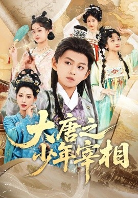 资源《大唐之少年宰相》的海报