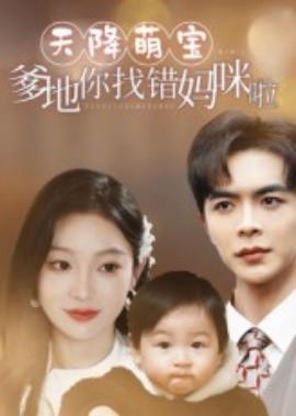 资源《天降萌宝爹地你找错妈咪啦》的海报