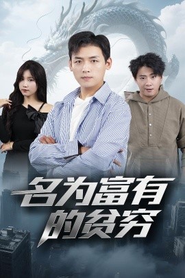 资源《名为富有的贫穷》的海报