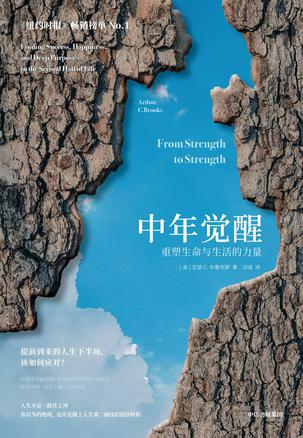 资源《中年觉醒 [﻿励志成功] [pdf+全格式]》的海报
