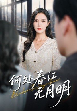 资源《何处春江无月明》的海报
