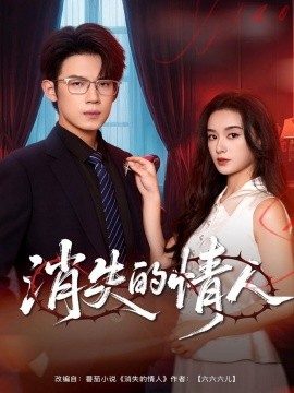 资源《消失的情人》的海报