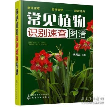 资源《《500种野菜野外识别速查图鉴》野菜图谱科普[pdf.epub]》的海报