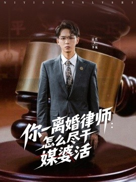 资源《你一离婚律师：怎么尽干媒婆活》的海报