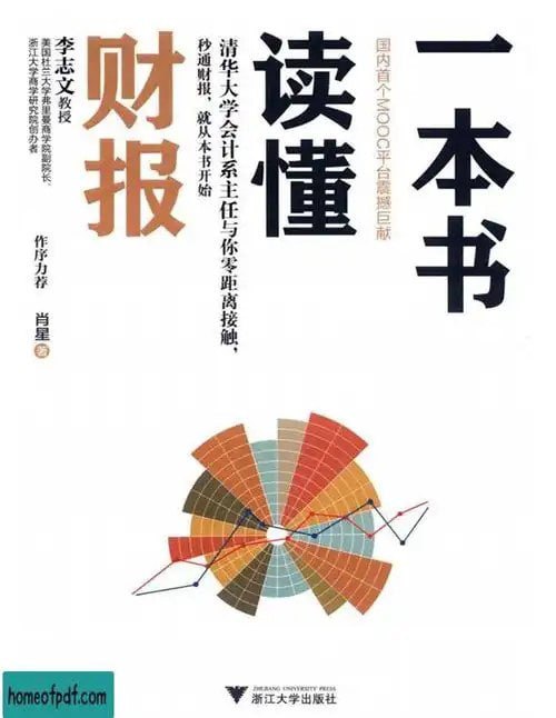 资源《《一本书读懂财报》 清华大学会计系系主 为财务零基础的初学者编写[pdf]》的海报