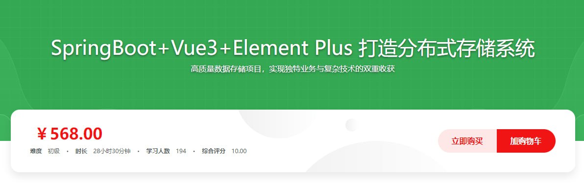 资源《慕课实战 - SpringBoot+Vue3+Element Plus打造私人分布式存储系统》的海报