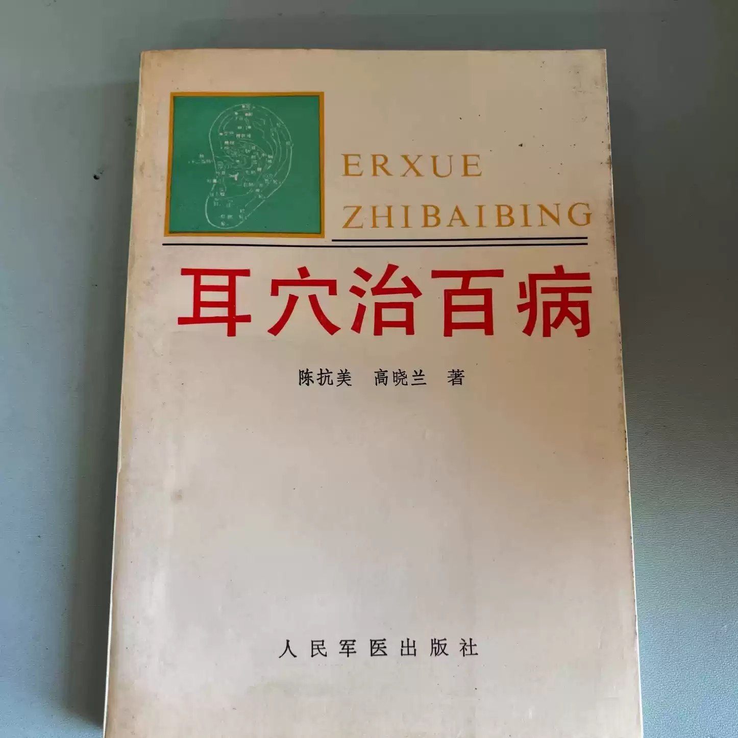 资源《雪狐狸2024主管中药师【学习资料】》的海报