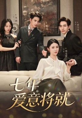 资源《七年爱意将就》的海报